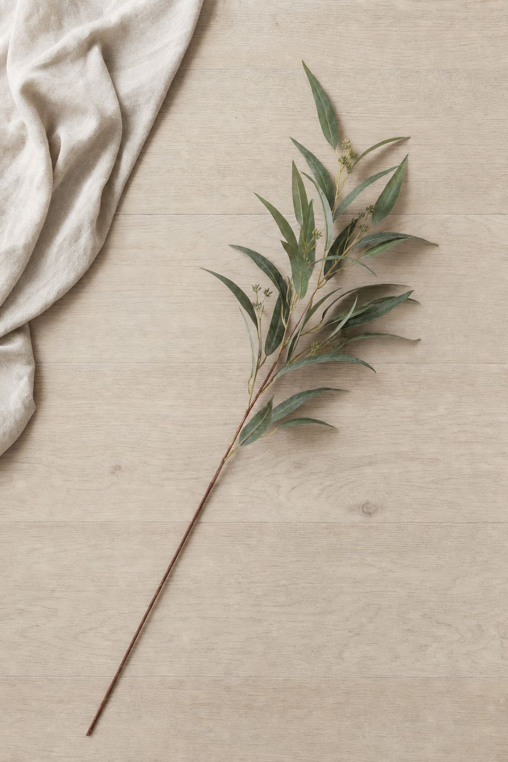 Willow Eucalyptus Spray