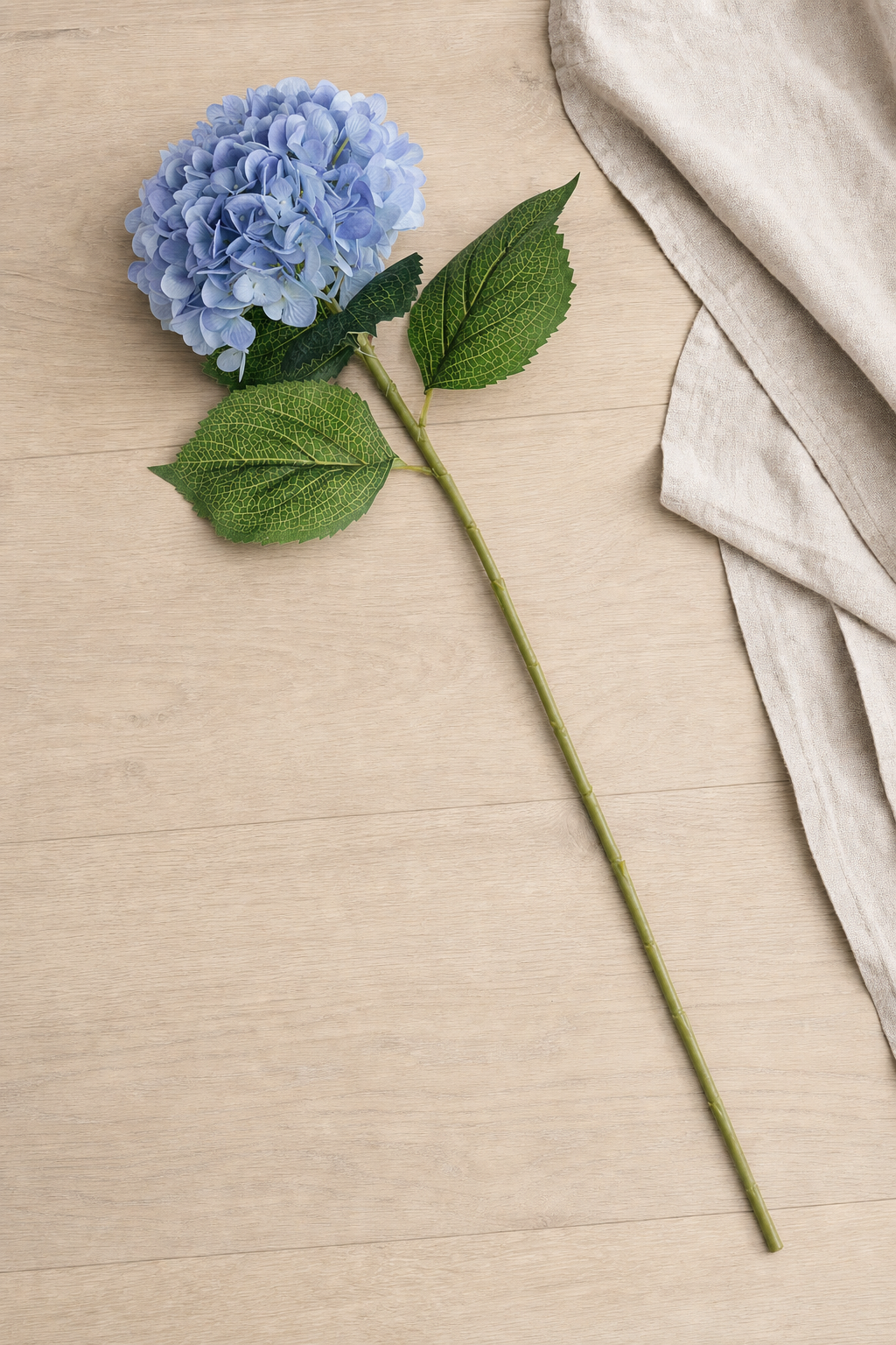 Hydrangea Stem