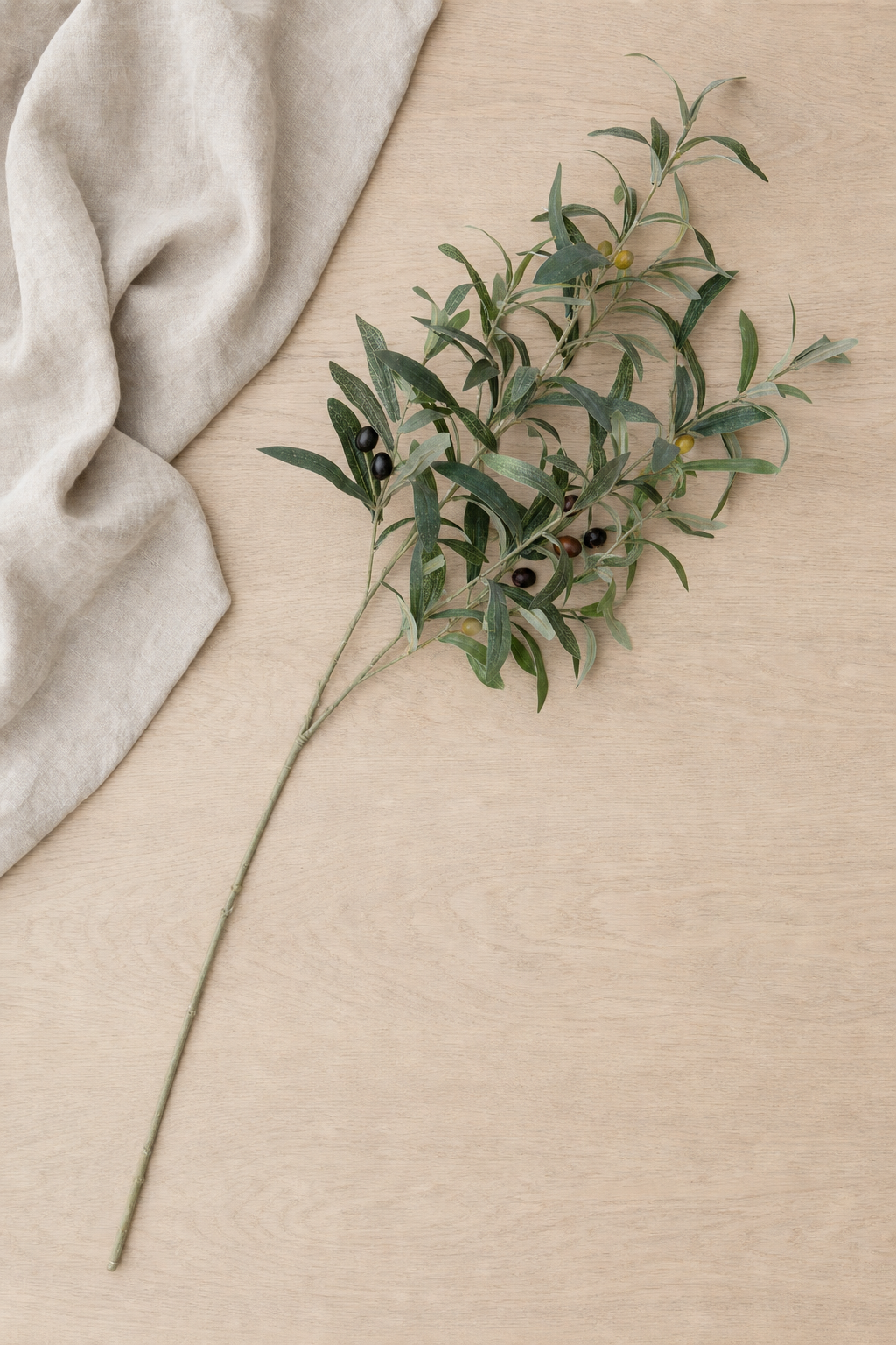 Olive Branch with Olives