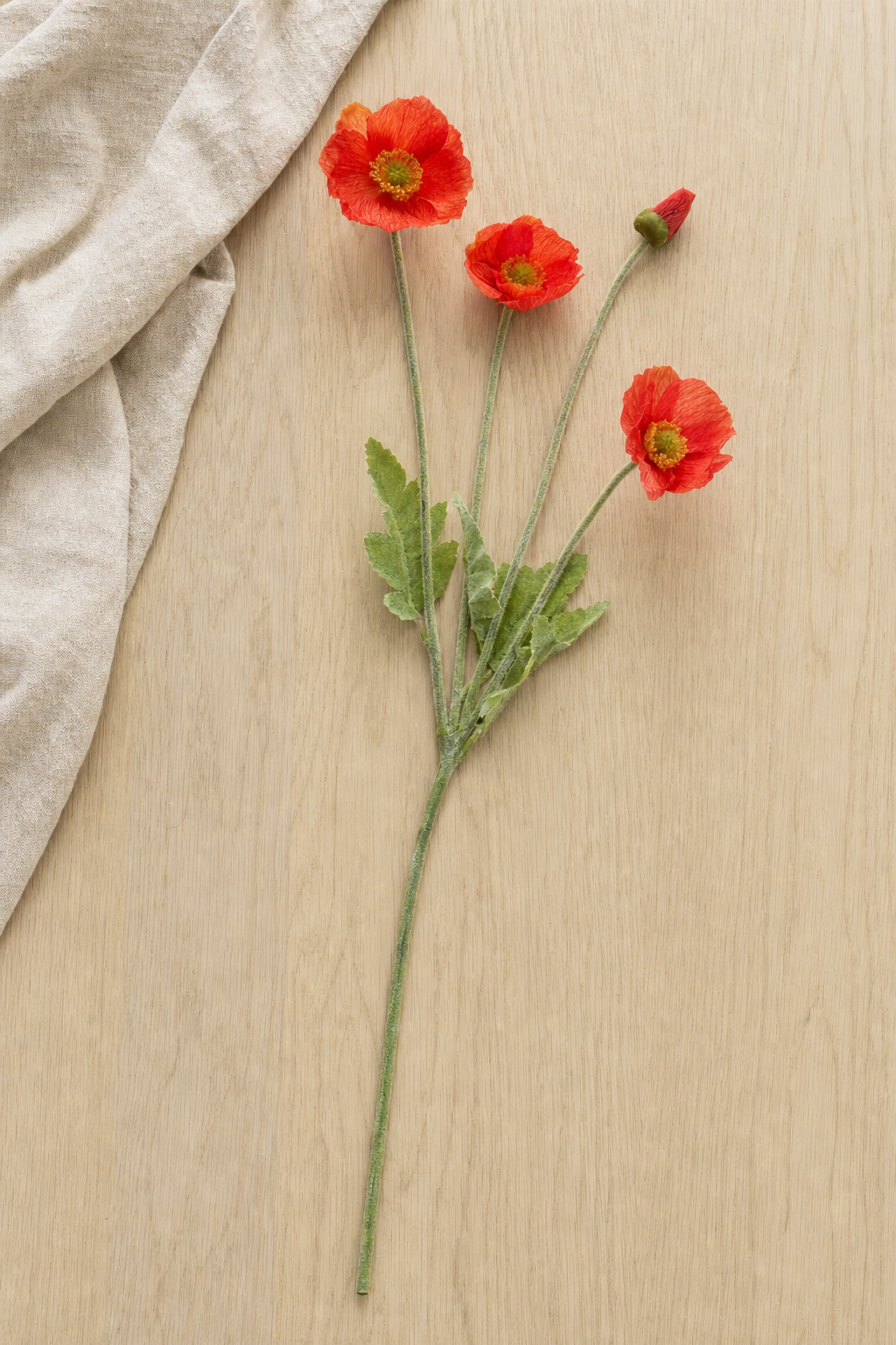 Poppy Spray