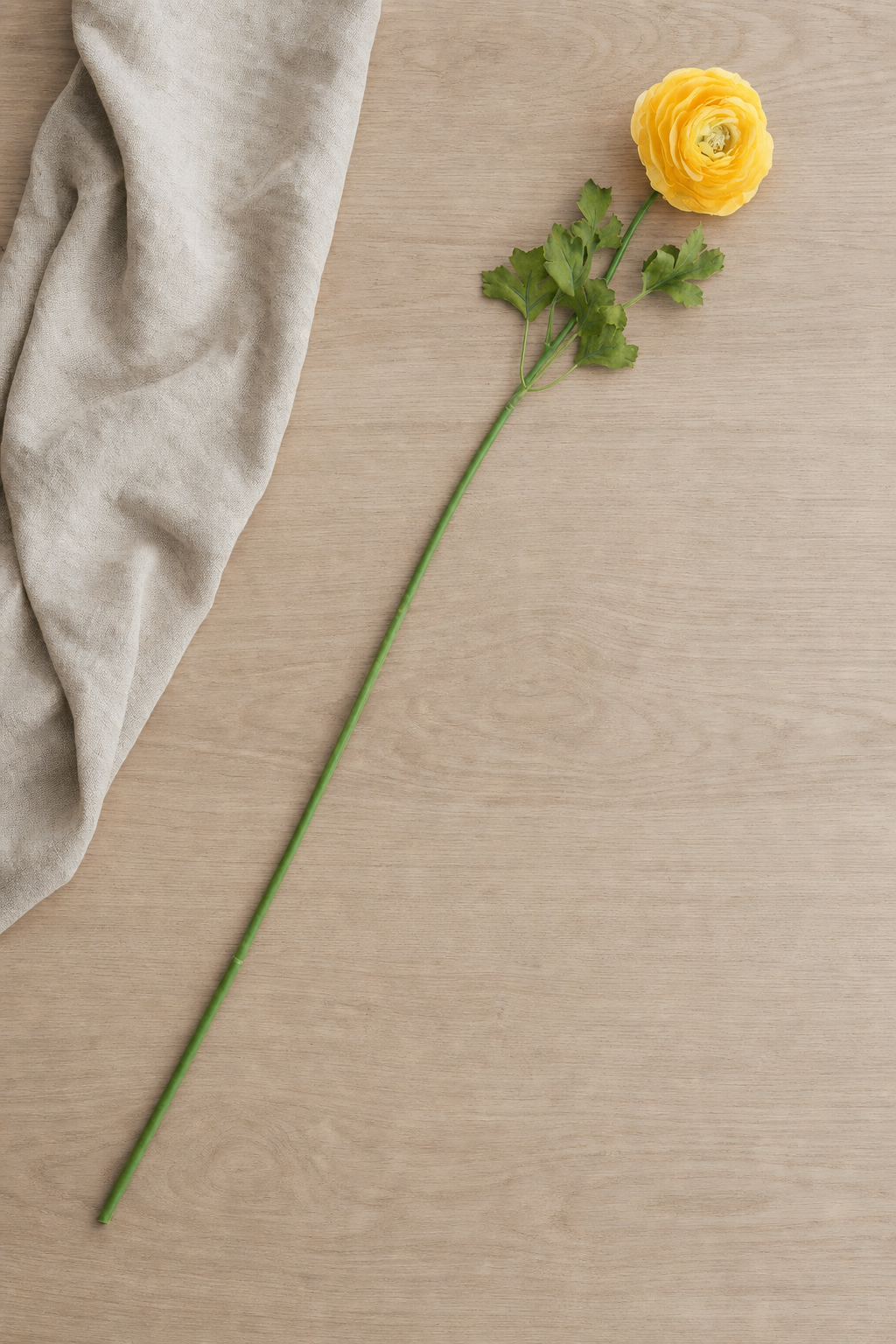 Ranunculus Stem