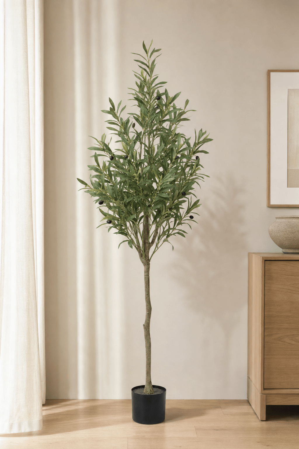 Olive Tree 162cm