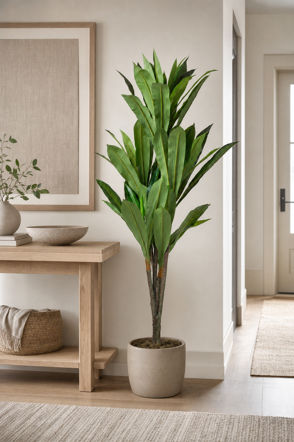 Real Touch Dracaena in Pot
