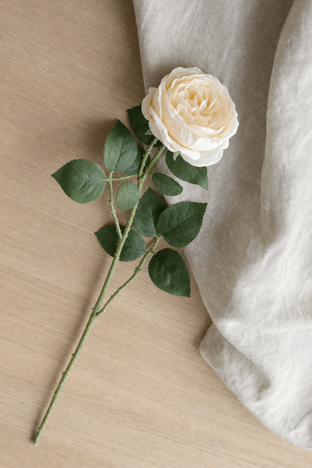Garden Rose Stem