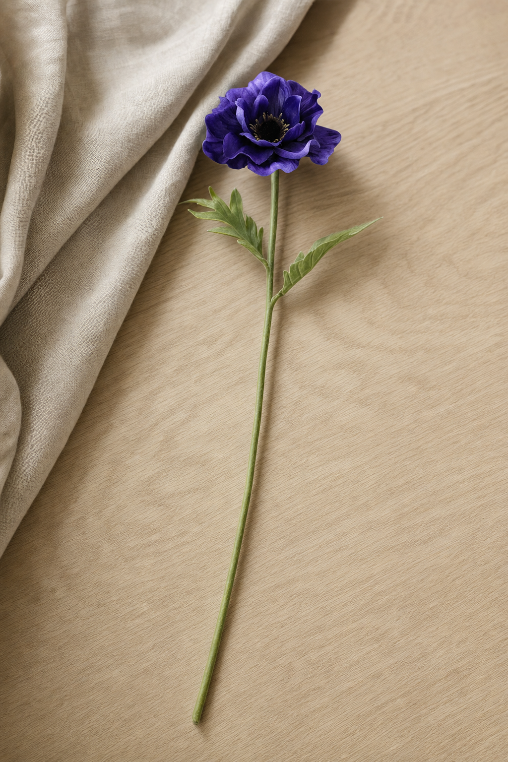 Anemone Stem