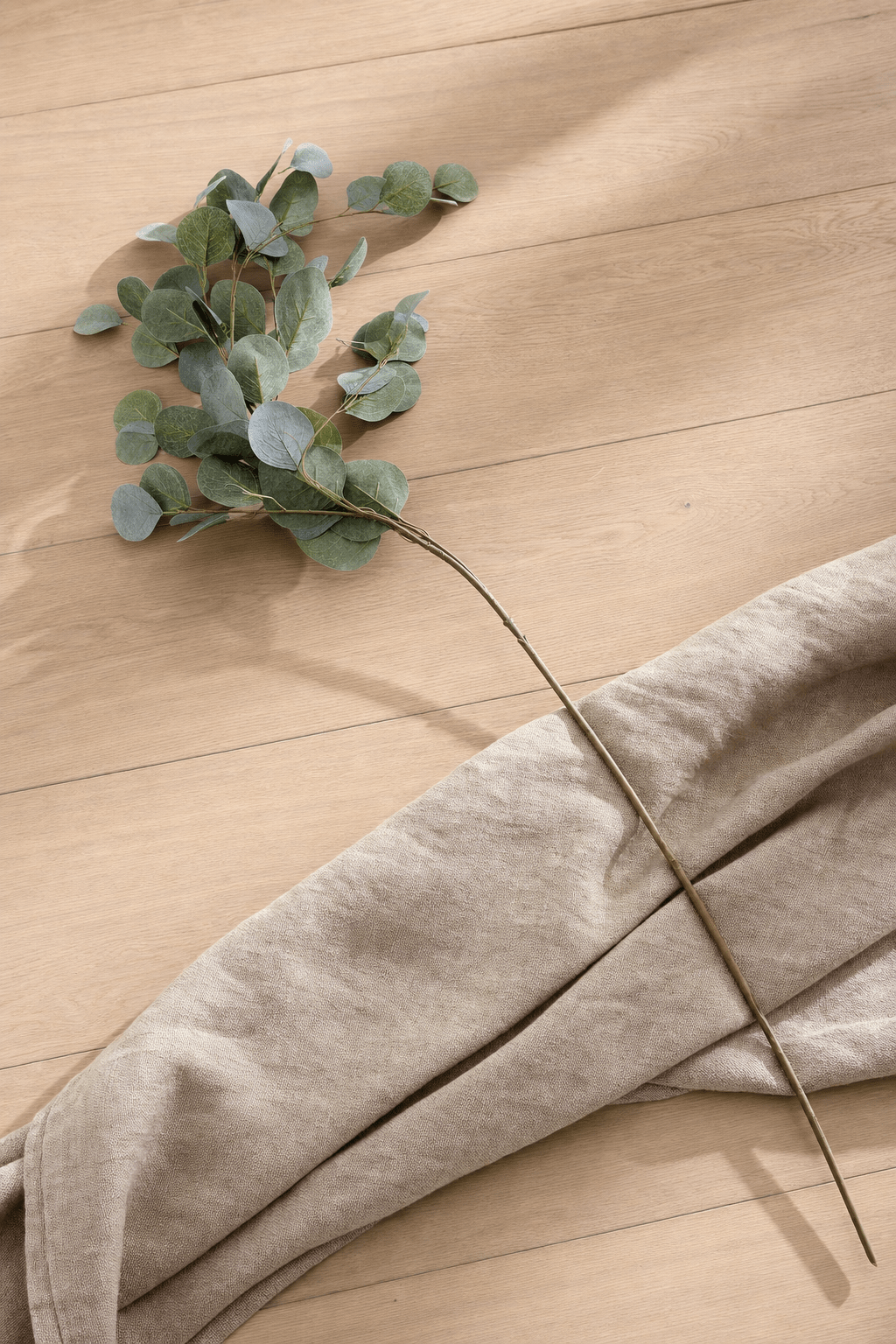 Silver Dollar Eucalyptus Spray