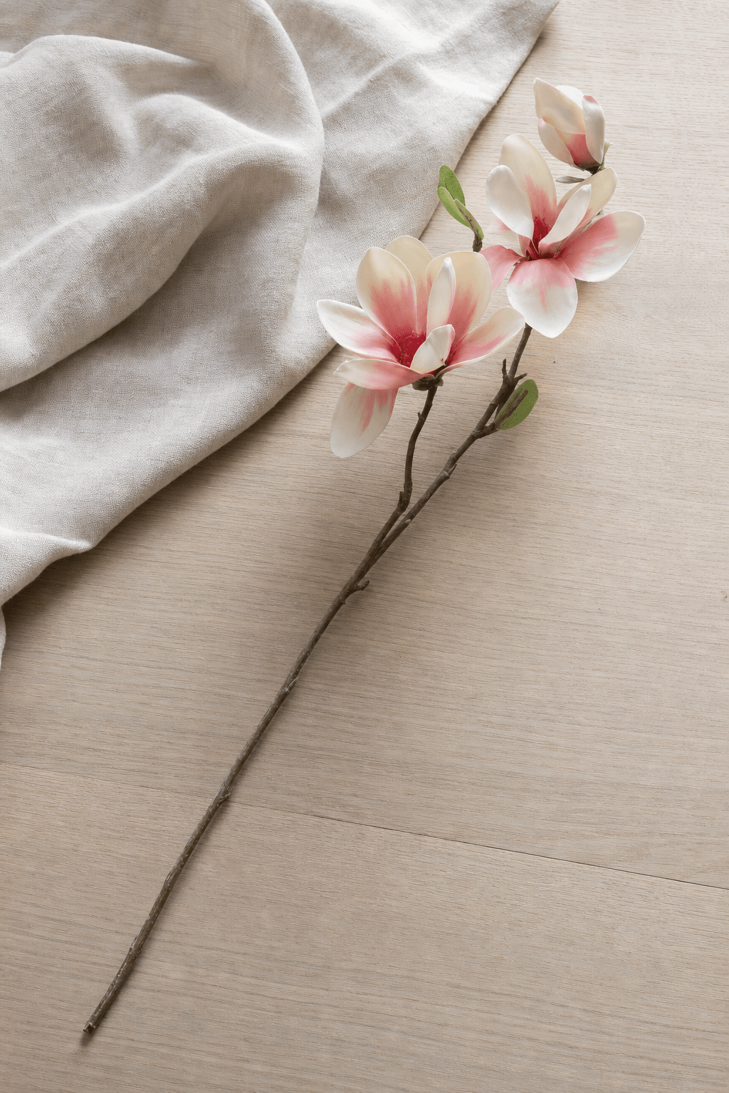 Magnolia Branch