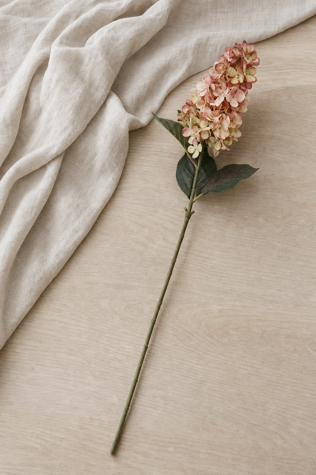 Panicled Hydrangea Stem