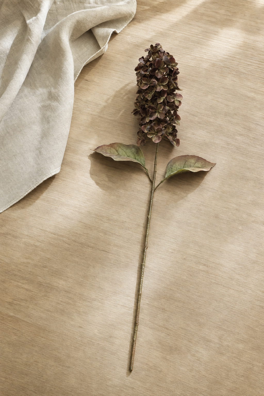 Dried Look Hydrangea Stem