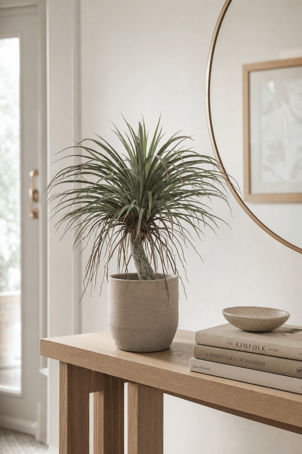 Yucca Tree