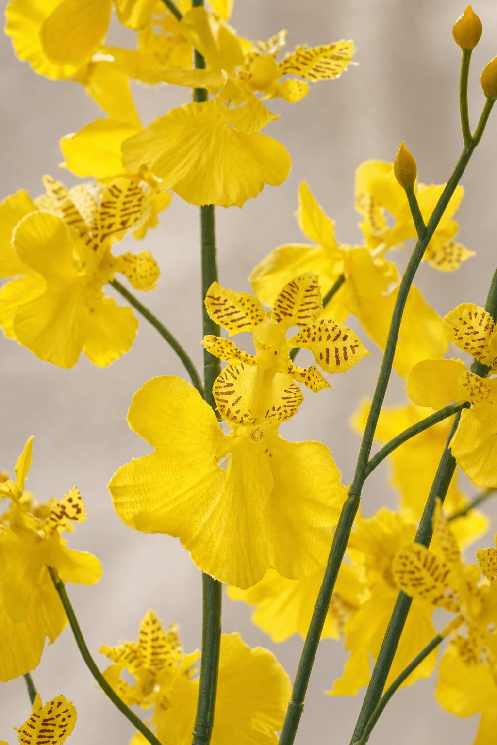 Oncidium Orchid Spray - Artificial Blooms